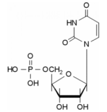 Уридин 5'-монофосфат 98-100% Sigma U1752