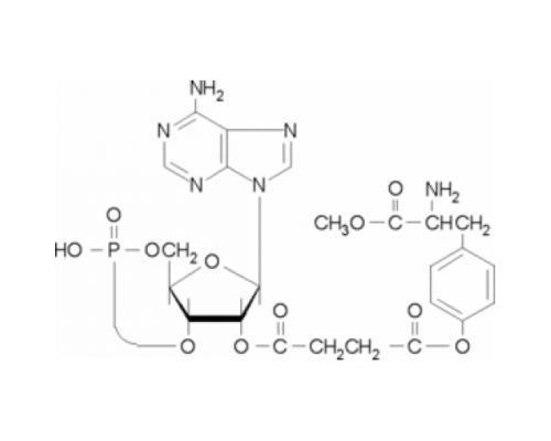 2'-O-Моносукциниладенозин 3 ': 5'-циклический монофосфатный тирозилметиловый эфир ~ 95% Sigma M2257