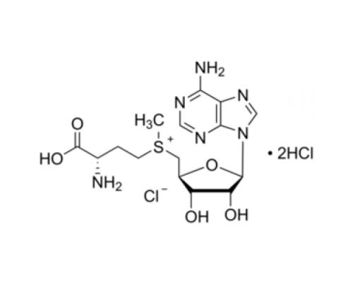 Дигидрохлорид S- (5'-аденозилβL-метионинхлорида 75% Sigma A7007