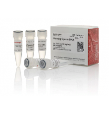 Раствор ДНК спермы сельди/Herring Sperm DNA Solution, UltraPure, Thermo FS