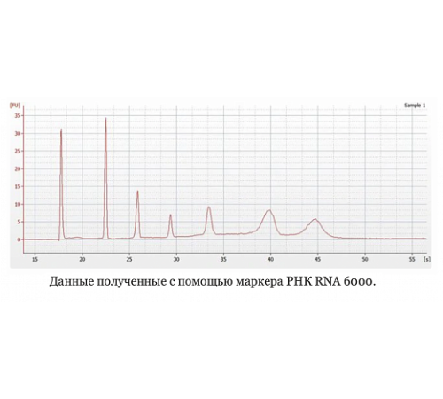 Маркер РНК, RNA 6000, от 200 п.н. до 6000 п.н., 150 мкг/мл, Thermo FS