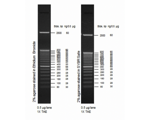 Маркер длин ДНК, 50 bp, 17 фрагментов от 50 до 2500 п.н., 0,5 мкг/мл, Thermo FS