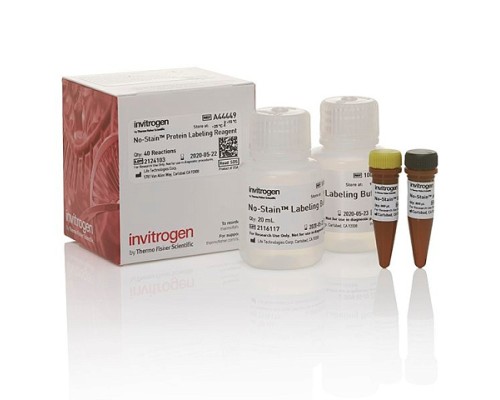 Реагент No-Stain™ Protein Labeling Reagent, 40 реакций, Thermo FS