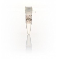 Протеиназа К, рекомбинантная, PCR-grade, 20 мг/мл, Thermo FS