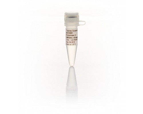 Протеиназа К, рекомбинантная, PCR-grade, 20 мг/мл, Thermo FS