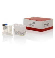 Набор для выделения ДНК, PureLink Genomic DNA Mini Kit, Thermo FS